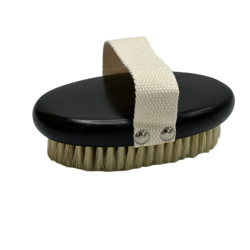 Oval dry brush handheld
