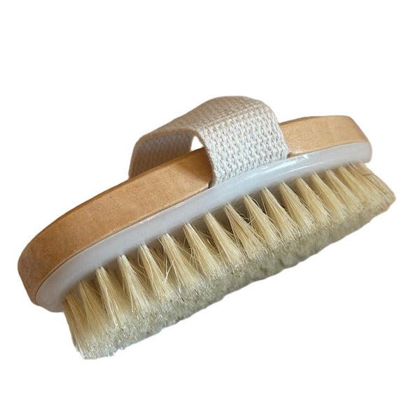 Oval dry brush handheld
