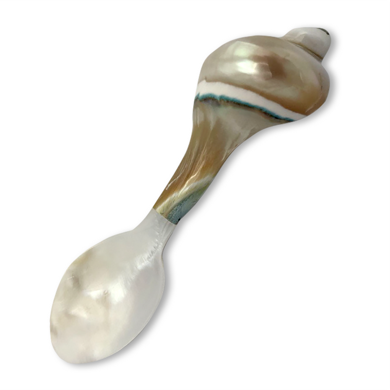 Spoon: Oyster Shell Mother Of Pearl