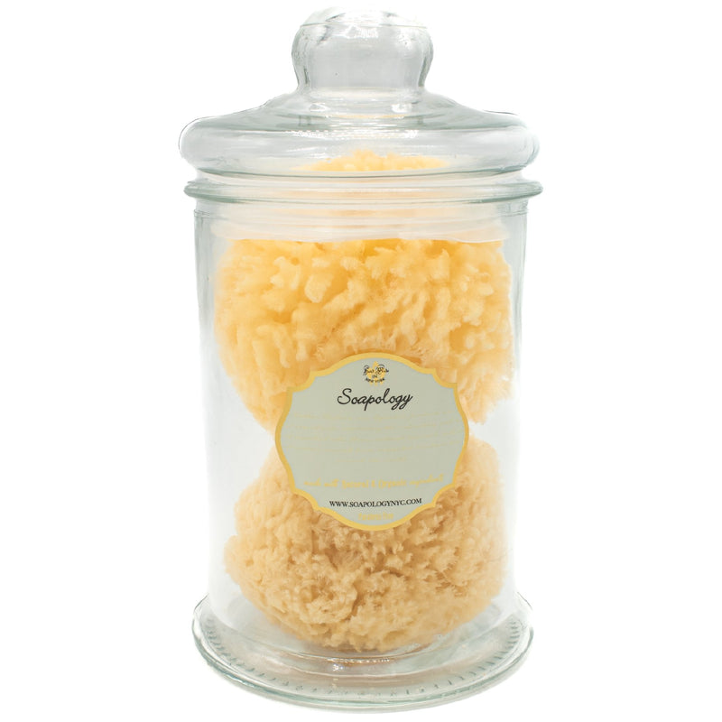 Natural SEA SPONGE APOTHECARY Jar - SoapologyNYC ACCESSORIES