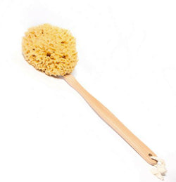 Natural Sea Sponge with a stick
