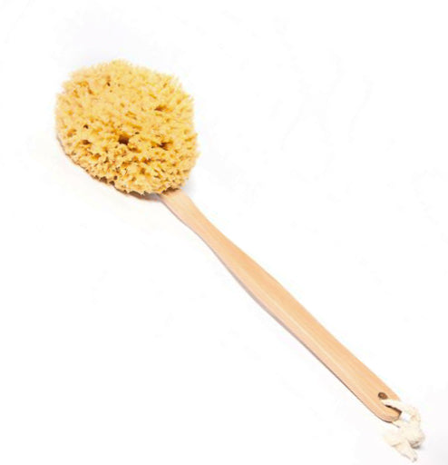 Natural Sea Sponge with a stick